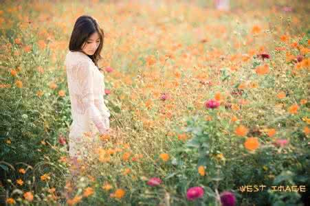 温暖心灵的情感美文 【转载】今生许你一世情长 【情感美文】