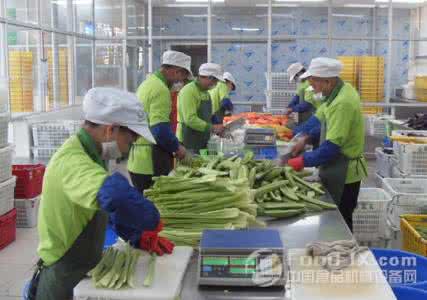 蔬菜加工生产线 蔬菜的加工