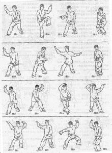 形意拳八字功连环拳 八字连环拳---刘晓凌