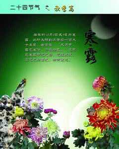 寒露的谚语 有关寒露的谚语大全