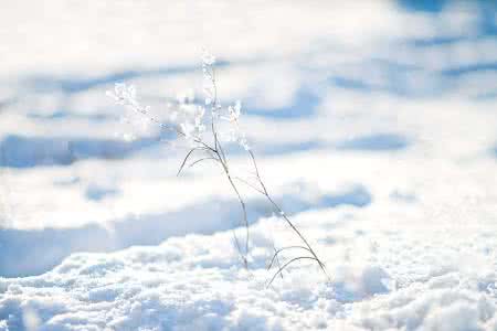 内蒙古阿尔山 内蒙古阿尔山 【内蒙古印象】恋上阿尔山那片纯净冬雪（by西窗听雪）