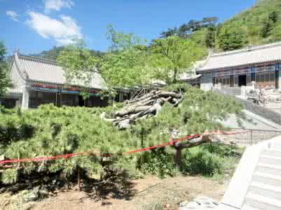 北京延寿寺 延寿寺【北京】