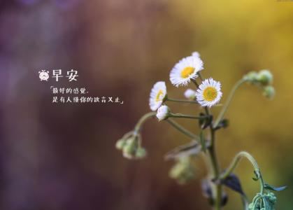 早安问候语大全2017 早安问候语图片大全 早安问候语大全2017