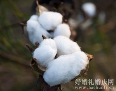 羊毛和棉花哪个保暖 羊毛和棉花哪个保暖 棉花系列——简单好做的棉花保暖裤制作教程，比买滴暖千倍