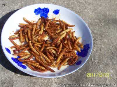用菜籽油炒菜容易上火 吃菜籽油上火吗