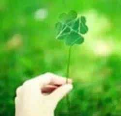 凡事不要太认真 凡事太认真,苦了心,累了自己!