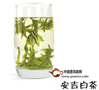 安吉白茶 福鼎白茶 福鼎白茶 福鼎白茶与安吉白茶的区别