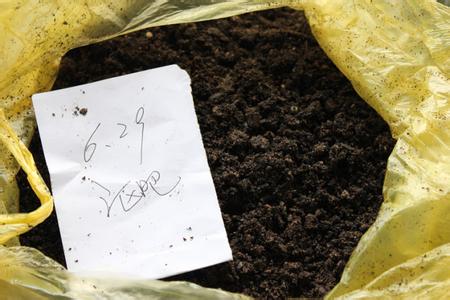 环保果皮箱 巧用果皮做环保基质