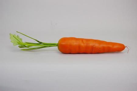 一只胡萝卜精 一只胡萝卜精 一天一只胡萝卜 增强免疫力