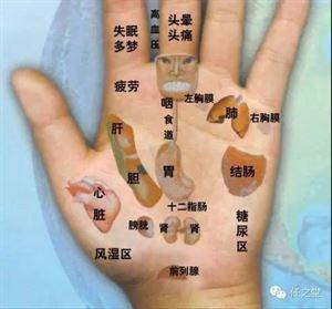 中医手诊 民间中医谈养生与手诊