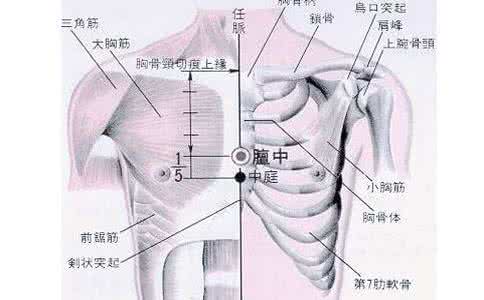 酒酿蛋丰胸原理 自动找穴位是什么原理 穴位丰胸按摩原理是什么