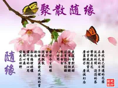 聚散随缘 【原创】来去随意,聚散随缘
