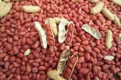 回奶偏方效果超好妙招 回奶偏方效果超好 偏方治疗牛皮癣的效果好吗