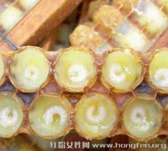 天然蜂胶的食用方法 蜂胶的作用 蜂胶的食用方法和副作用