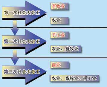 社会分工越来越细 社会分工