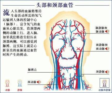 脑供血不足症状表现 大脑供血不足的症状 这些表现是脑供血不足