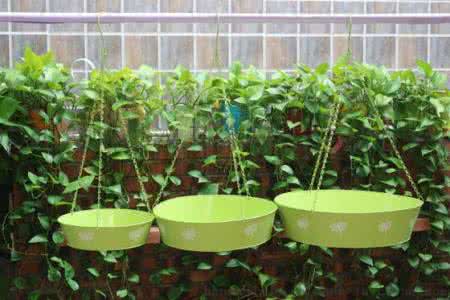 园艺植物栽培学 《园艺容器栽培图解》(日)