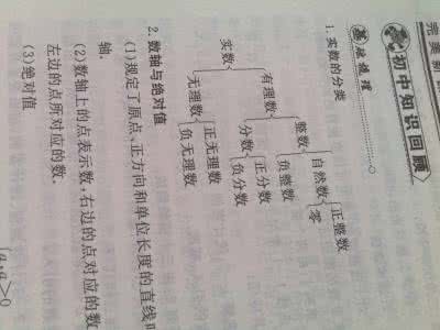 有理数 实数 有理数 实数讲义
