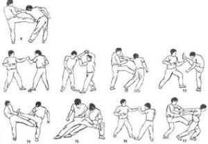 擒拿手 招式图解 擒拿招势图解