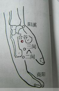 常用的定位元件 常用穴位定位图