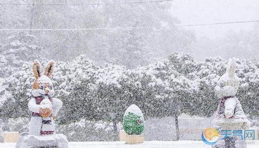 积雪苷霜软膏 积雪