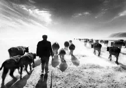 质感摄影作品 成就摄影作品的内质(之二)