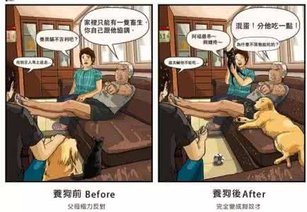 女生适合养什么宠物狗 告诉我,是不是女生养了宠物都会变这样