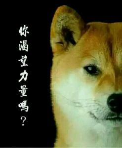 擅长画狗的艺术大师 大师的狗
