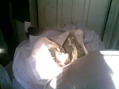 多姿多彩 多姿多彩 反转性爱模式 性生活多姿多彩