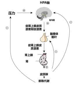 最合适的避孕方式 怎样的相处方式是最合适的？