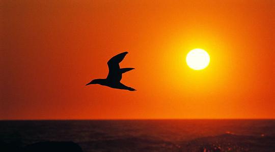 衡量人们思想品德好坏 衡量生命的尺度是思想和行为，而不是时间