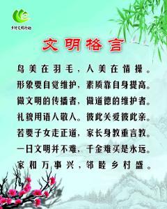 美酒加咖啡歌词邓丽君 邓丽君的名言