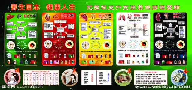 五脏怎么调理 五脏怎么调理 五脏保养调理方法