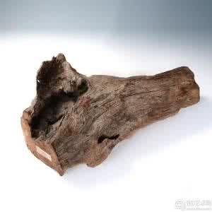 沉檀龙麝 沉檀龙麝是什么 沉檀龙麝讲的是什么?
