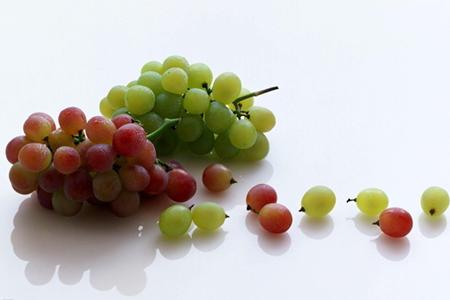 葡萄籽 夏季葡萄盛行季 葡萄籽的功能你知道吗？