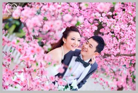 生命是一场遇见 生命是一场遇见的想念