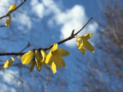 宋晓峰唱的大雁飞 秋风起的时候大雁飞走 秋风起时。