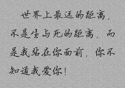 我爱你别放弃 我爱你，无须放弃整个世界