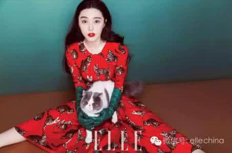 女人的小鸡真实模样 你想成为的女人模样范冰冰全都有,可是没想到她是这种小女孩!