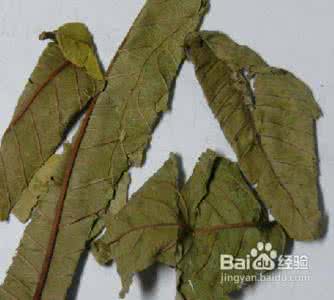 降血糖的最好方法 降血糖 降血糖的最好方法