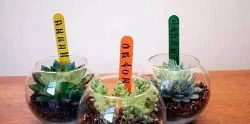 儿童废物利用创意手工 废物利用DIY