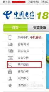 中国电信话费查询 中国电信网上营业厅 电信手机怎么查话费