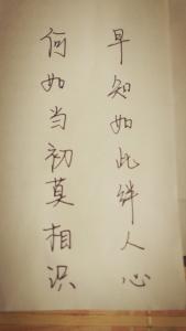 早知如此绊人心 【早知如此绊人心，何如当初莫相识】