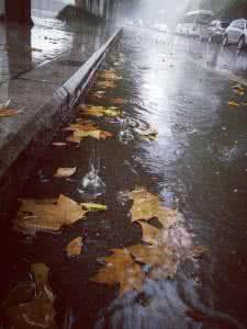 下雨天吃什么 下雨天吃什么最好?