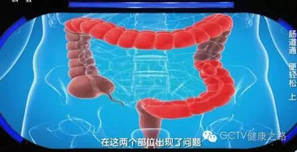 健康之路肠道通便轻松 健康之路|肠道通 便轻松（下）