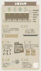 马塔莱香料花园 图解：如何打造你的室内香料花园