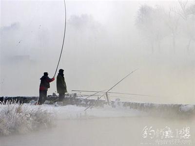 岸边钓海鲈鱼技巧视频 岸边冬钓的技巧