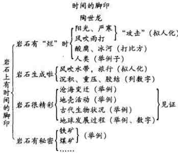 初一综合性学习试题 初一语文综合性实践活动课教学案例