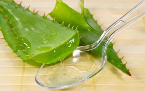 芦荟怎么食用方法 芦荟怎么吃 芦荟食用方法