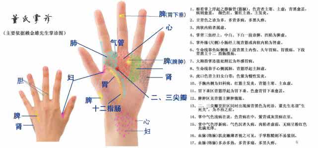 中医掌诊 掌诊图